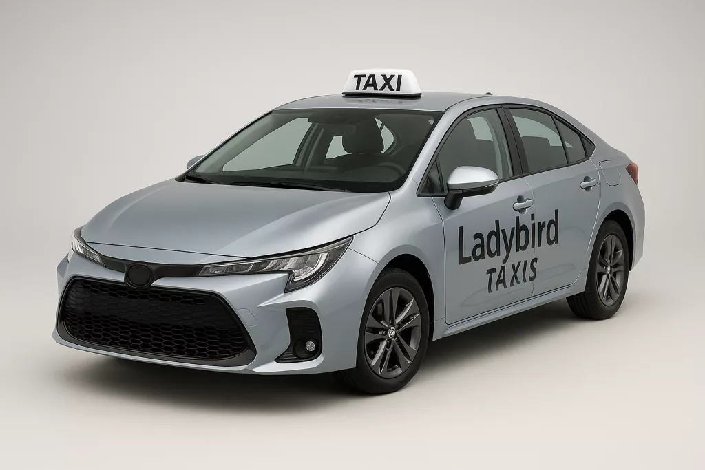 Modern silver taxi car branded with Ladybird Taxis logo, parked in a studio with soft lighting