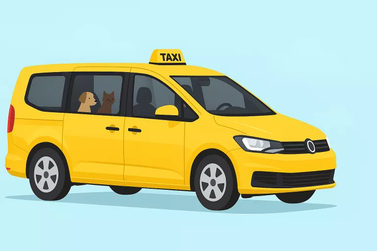 Modern yellow taxi MPV illustration for Ladybird Taxis showing stress free pet friendly taxis, travel concept